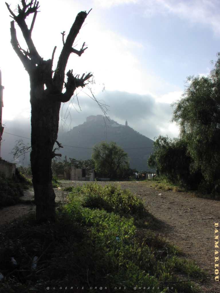 ORAN SANTA CRUZ (110).JPG